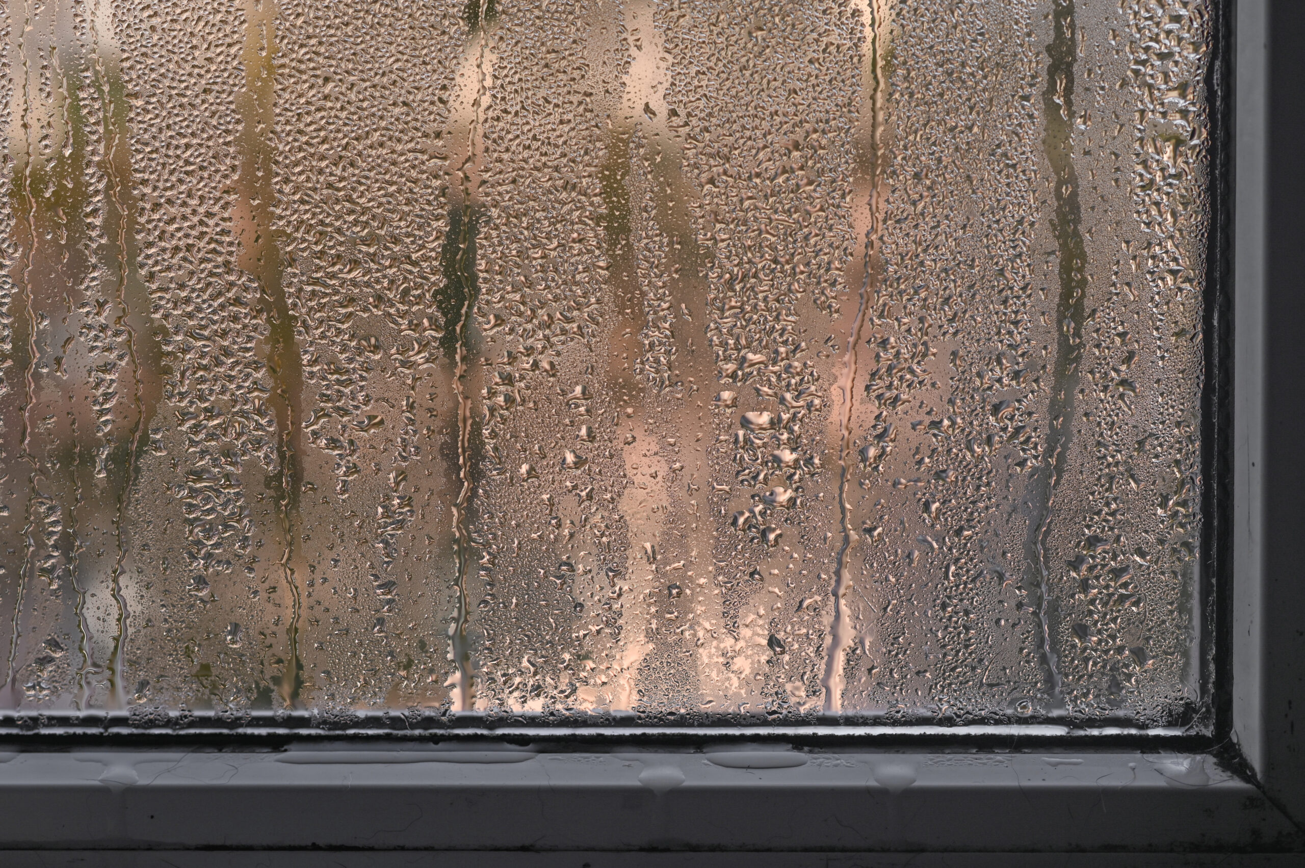 Can Interior Window Condensation Lead To Mold?